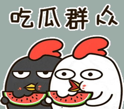 娱乐吃瓜小兔兔微博,揭秘娱乐圈那些吃瓜趣事